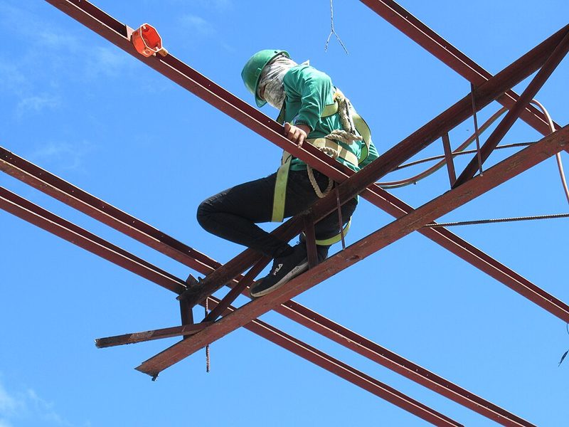 Thực Tập Sinh Thiết Kế Kiến Trúc Cơ Bản